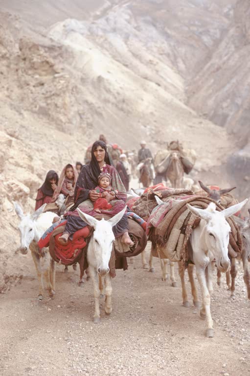 Afghanistan, Kuchis auf dem Weiterzug / Foto 1971